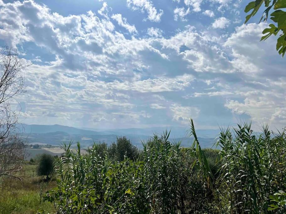 Windrose Blue Blossom Volterra Exterior photo